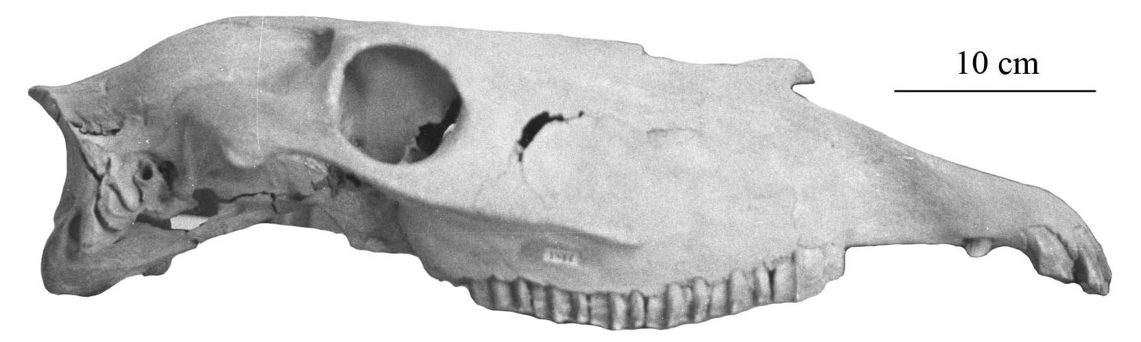 MGRI 1844-46 CraProf