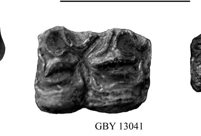 GBY Fig.13