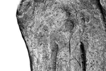 Fig.20 Cedar-Channing Muzzles