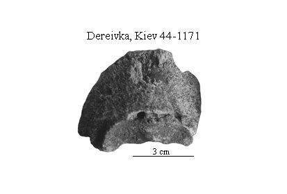 Dereivka Third phalanx 44-1171